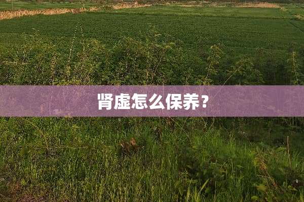 肾虚怎么保养？