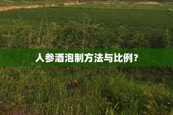 人参酒泡制方法与比例？