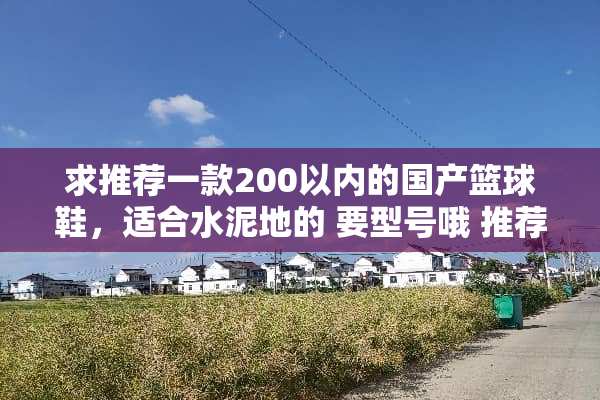 求推荐一款200以内的国产篮球鞋，适合水泥地的 要型号哦 推荐原因
