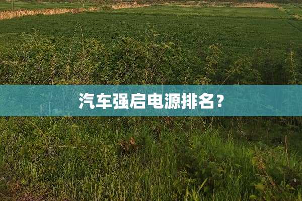 汽车强启电源排名？