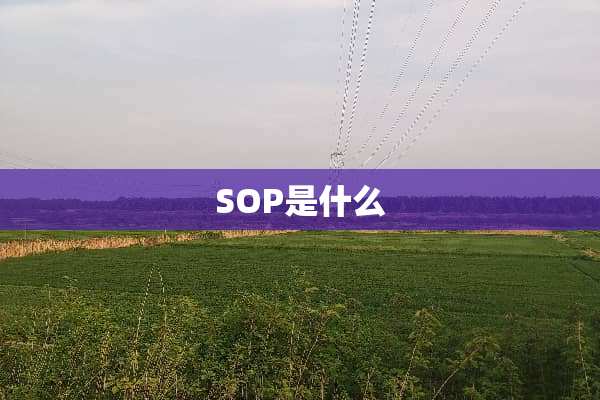 SOP是什么