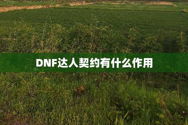 DNF达人契约有什么作用