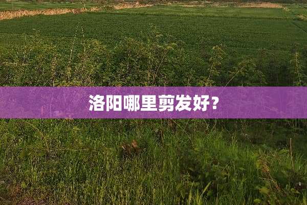 洛阳哪里剪发好？
