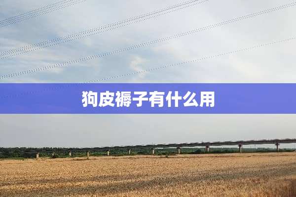 狗皮褥子有什么用