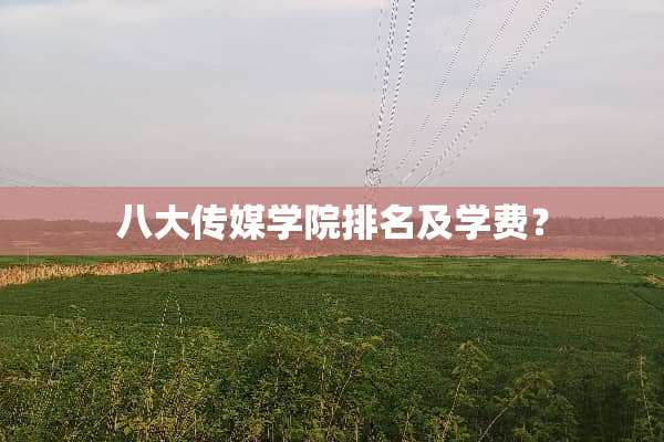 八大传媒学院排名及学费？