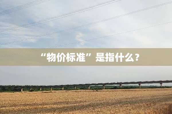 “物价标准”是指什么？