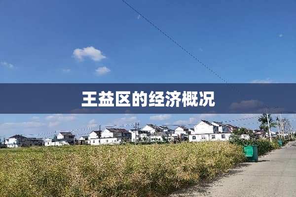 王益区的经济概况