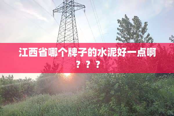 江西省哪个牌子的水泥好一点啊？？？