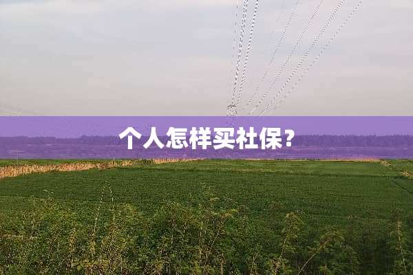 个人怎样买社保？