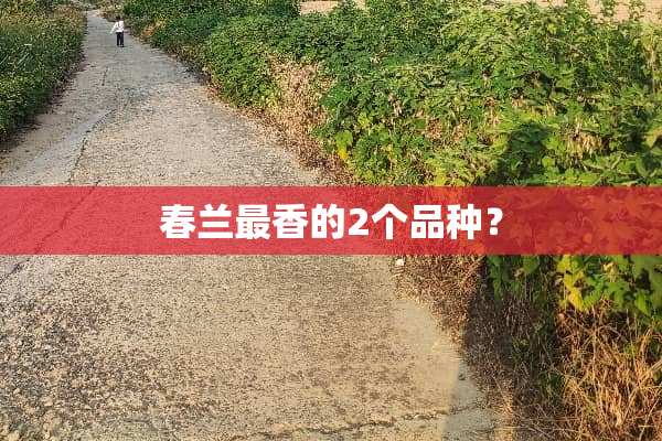 春兰最香的2个品种？
