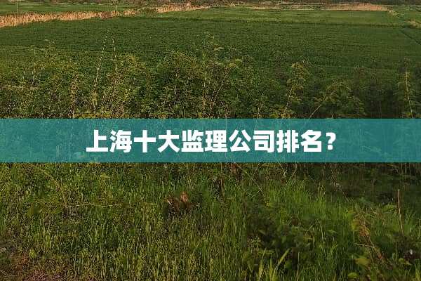 上海十大监理公司排名？