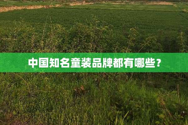 中国知名童装品牌都有哪些？