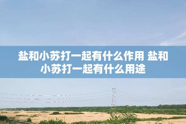盐和小苏打一起有什么作用 盐和小苏打一起有什么用途