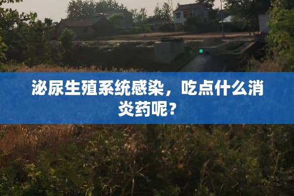 泌尿生殖系统感染，吃点什么消炎药呢？