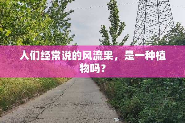 人们经常说的风流果，是一种植物吗？