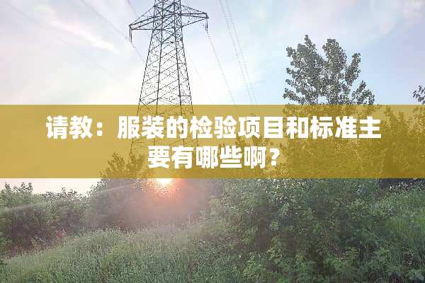 请教：服装的检验项目和标准主要有哪些啊？