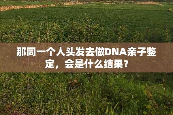 那同一个人头发去做DNA亲子鉴定，会是什么结果？