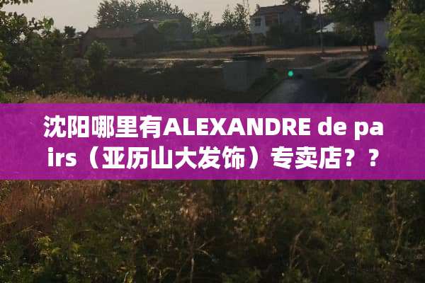 沈阳哪里有ALEXANDRE de pairs（亚历山大发饰）专卖店？？
