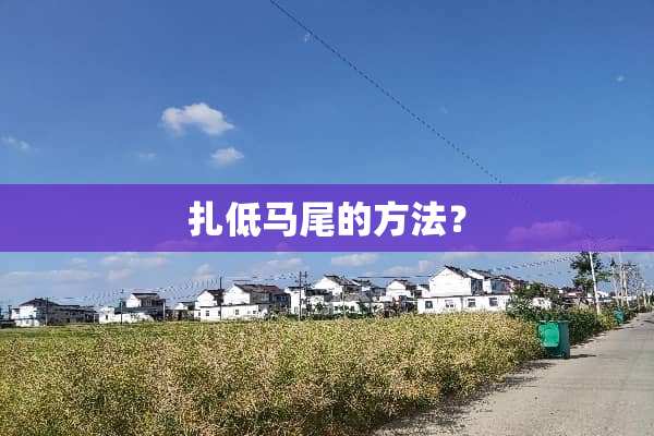 扎低马尾的方法？