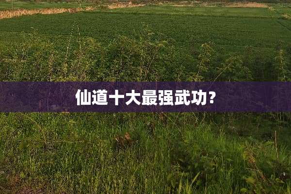 仙道十大最强武功？