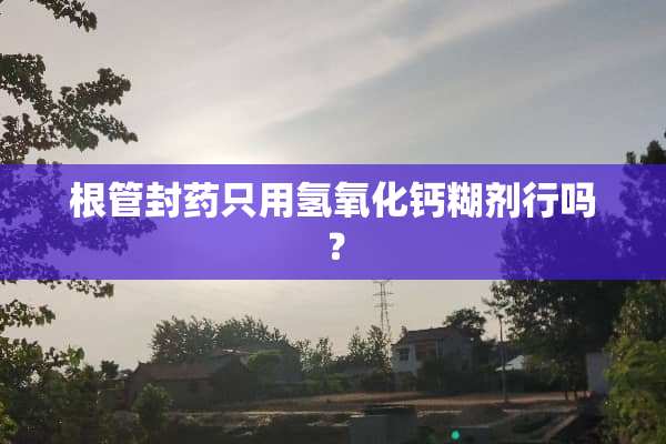 根管封药只用氢**钙糊剂行吗？