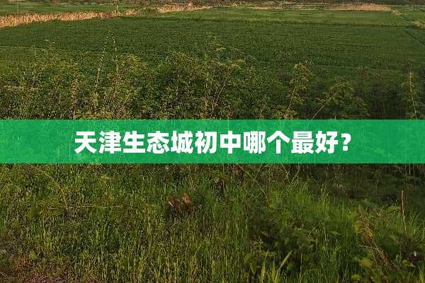 天津生态城初中哪个最好？