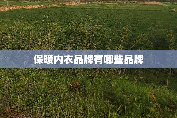 保暖**品牌有哪些品牌