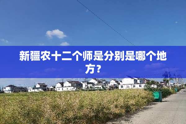 新疆农十二个师是分别是哪个地方？