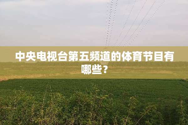 **电视台第五频道的体育节目有哪些？