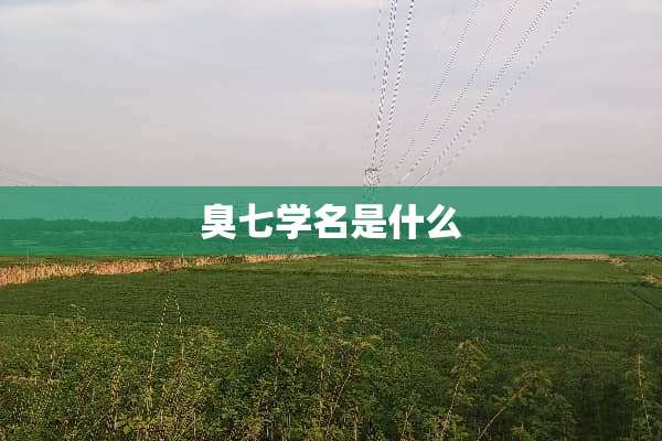 臭七学名是什么