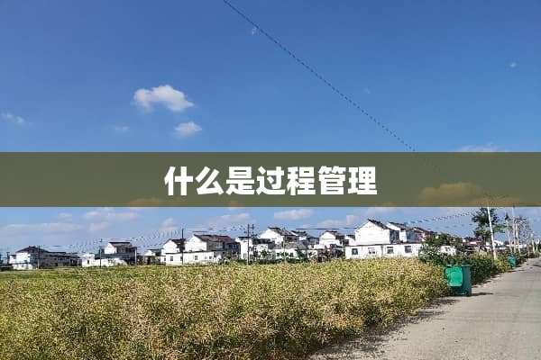 什么是过程管理
