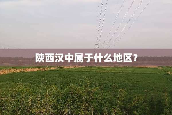 陕西汉中属于什么地区？