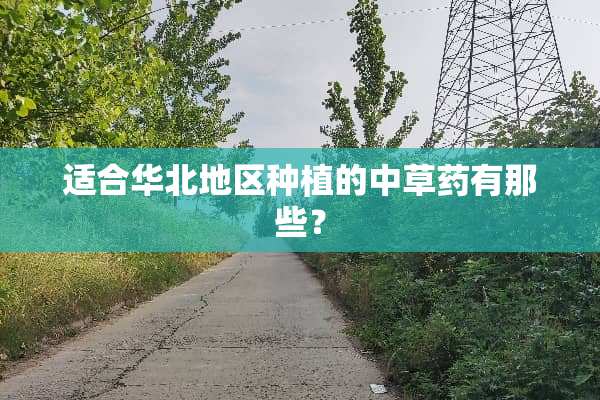 适合华北地区种植的中草药有那些？