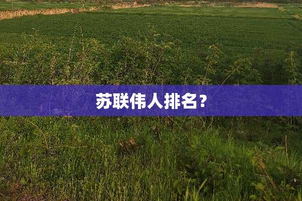 苏联伟人排名？