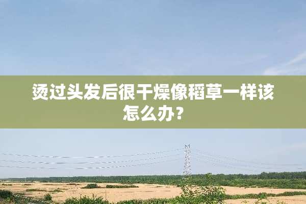 烫过头发后很干燥像稻草一样该怎么办？