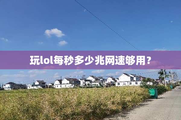 玩lol每秒多少兆网速够用？