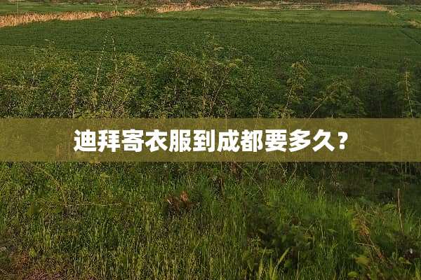 迪拜寄衣服到成都要多久？