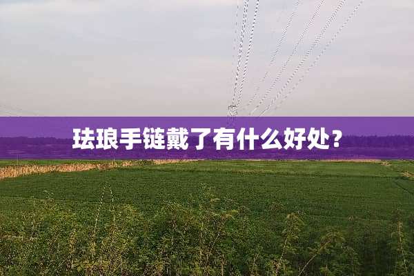 珐琅手链戴了有什么好处？