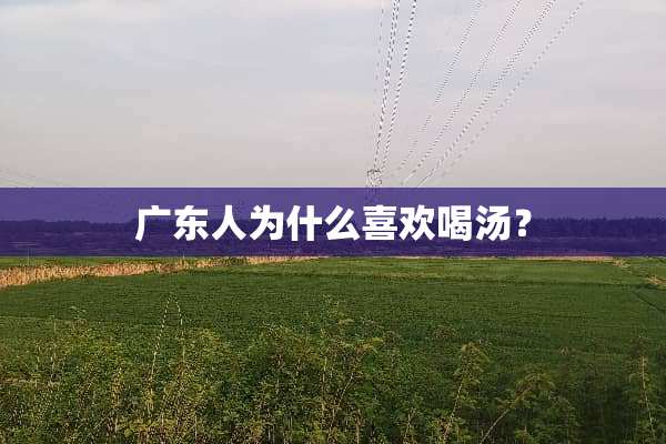 广东人为什么喜欢喝汤？
