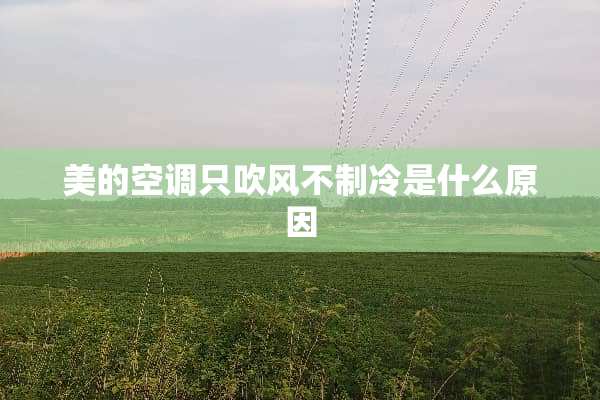 美的空调只吹风不制冷是什么原因