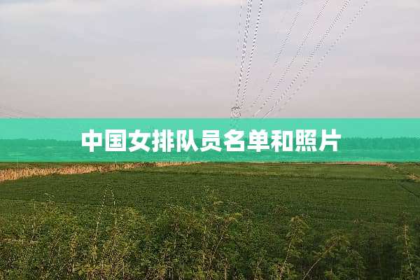 中国女排队员名单和照片