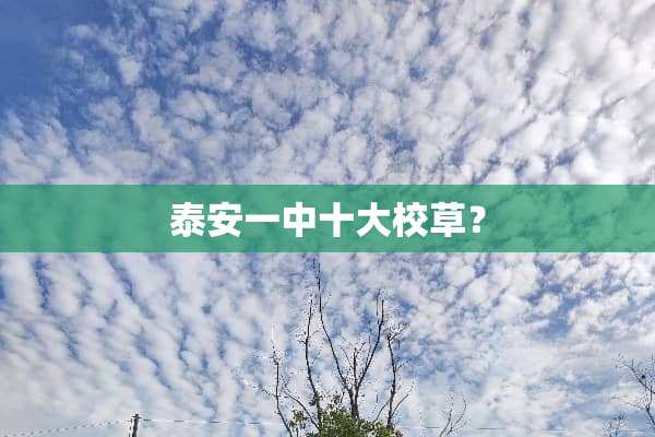 **一中十大校草？