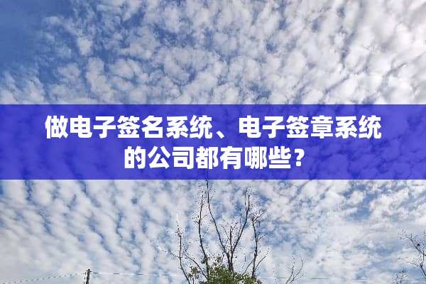 做电子签名系统、电子签章系统的公司都有哪些？