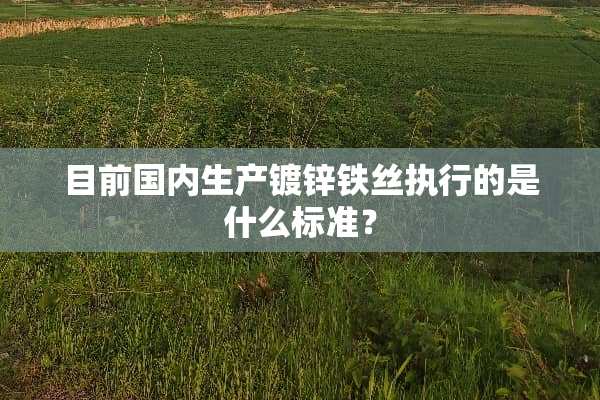 目前国内生产镀锌铁丝执行的是什么标准？