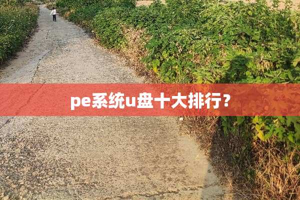 pe系统u盘十大排行？