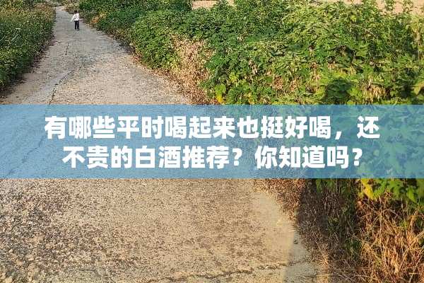 有哪些平时喝起来也挺好喝，还不贵的白酒推荐？你知道吗？