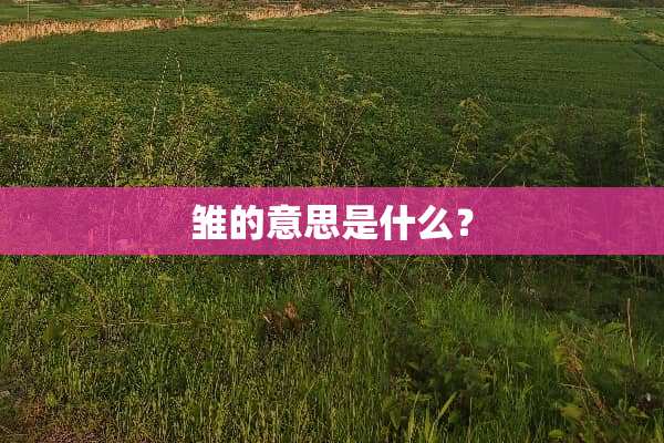 雏的意思是什么？