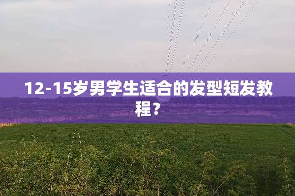 12-15岁男学生适合的发型短发教程？