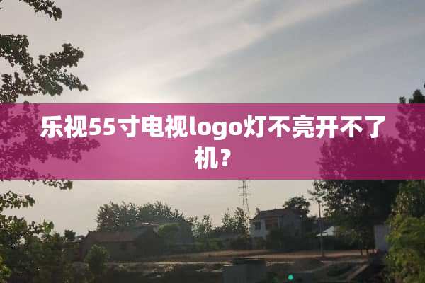 乐视55寸电视logo灯不亮开不了机？