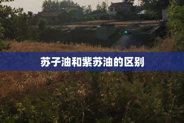 苏子油和紫苏油的区别